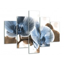 Glas schilderij Orchidee | Blauw, Grijs | 100x70cm 5Luik