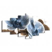 Glas schilderij Orchidee | Blauw, Grijs | 210x100cm 7Luik