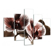 Glas schilderij Orchidee | Bruin, Wit | 100x70cm 5Luik