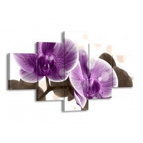 Glas schilderij Orchidee | Paars, Wit | 125x70cm 5Luik