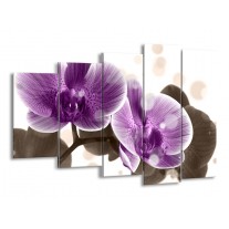Canvas schilderij Orchidee | Paars, Wit | 150x100cm 5Luik