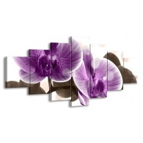 Glas schilderij Orchidee | Paars, Wit | 210x100cm 7Luik