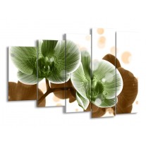 Canvas schilderij Orchidee | Groen, Bruin | 150x100cm 5Luik