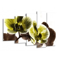 Canvas schilderij Orchidee | Geel, Grijs | 150x100cm 5Luik