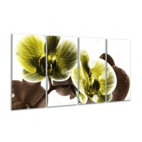 Glas schilderij Orchidee | Geel, Grijs | 160x80cm 4Luik