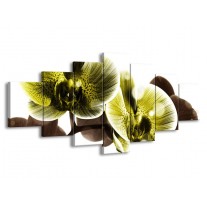 Glas schilderij Orchidee | Geel, Grijs | 210x100cm 7Luik