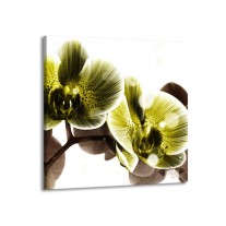 Glas schilderij Orchidee | Geel, Grijs | 70x70cm 1Luik