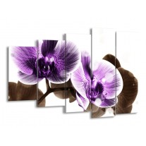 Glas schilderij Orchidee | Paars, Grijs | 150x100cm 5Luik