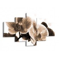 Canvas schilderij Orchidee | Grijs, Wit | 125x70cm 5Luik