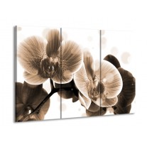 Canvas schilderij Orchidee | Grijs, Wit | 90x60cm 3Luik