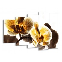 Canvas schilderij Orchidee | Geel, Bruin, Wit | 150x100cm 5Luik