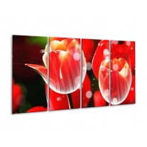 Glas schilderij Tulp | Rood, Wit | 160x80cm 4Luik