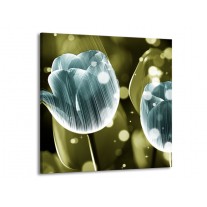 Glas schilderij Tulp | Blauw, Groen | 50x50cm 1Luik