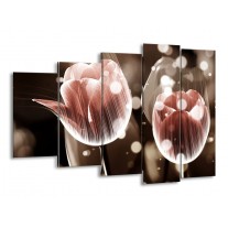 Glas schilderij Tulp | Bruin, Grijs | 150x100cm 5Luik