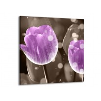 Glas schilderij Tulp | Paars, Grijs | 70x70cm 1Luik