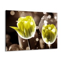 Glas schilderij Tulp | Geel, Grijs | 100x70cm 1Luik