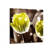 Glas schilderij Tulp | Geel, Grijs | 50x50cm 1Luik
