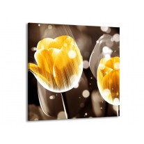 Glas schilderij Tulp | Geel, Oranje, Bruin | 70x70cm 1Luik