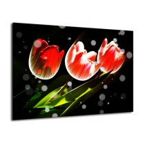 Glas schilderij Tulp | Rood, Groen, Zwart | 70x50cm 1Luik