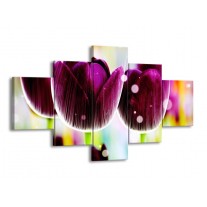 Glas schilderij Tulp | Paars, Geel, | 125x70cm 5Luik