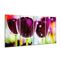 Glas schilderij Tulp | Paars, Geel, | 160x80cm 4Luik
