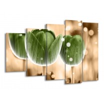 Glas schilderij Tulp | Groen, Bruin | 150x100cm 5Luik