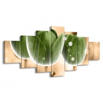 Glas schilderij Tulp | Groen, Bruin | 210x100cm 7Luik