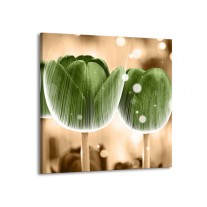 Glas schilderij Tulp | Groen, Bruin | 70x70cm 1Luik