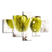 Glas schilderij Tulp | Geel, Wit | 125x70cm 5Luik