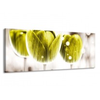 Glas schilderij Tulp | Geel, Wit | 145x58cm 1Luik