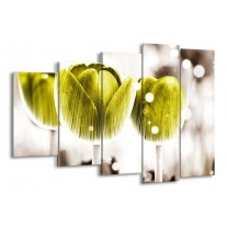 Glas schilderij Tulp | Geel, Wit | 150x100cm 5Luik
