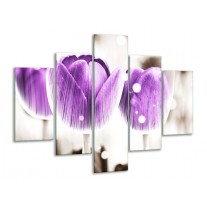Glas schilderij Tulp | Paars, Wit | 100x70cm 5Luik