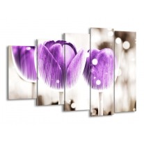 Glas schilderij Tulp | Paars, Wit | 150x100cm 5Luik