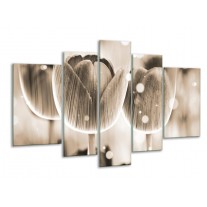 Glas schilderij Tulp | Grijs | 170x100cm 5Luik