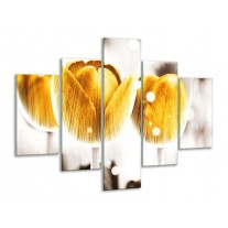 Glas schilderij Tulp | Geel, Wit | 100x70cm 5Luik