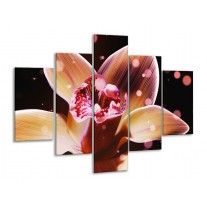 Glas schilderij Tulp | Geel, Zwart | 100x70cm 5Luik