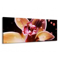 Glas schilderij Tulp | Geel, Zwart | 145x58cm 1Luik