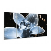 Glas schilderij Iris | Blauw, Zwart | 160x80cm 4Luik