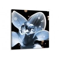 Glas schilderij Iris | Blauw, Zwart | 50x50cm 1Luik