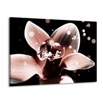 Glas schilderij Iris | Bruin, Zwart | 100x70cm 1Luik