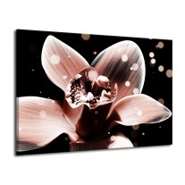 Glas schilderij Iris | Bruin, Zwart | 70x50cm 1Luik