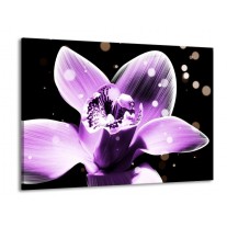 Glas schilderij Iris | Paars, Zwart | 100x70cm 1Luik