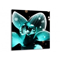 Glas schilderij Bloem | Blauw, Zwart | 70x70cm 1Luik