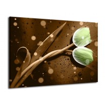 Glas schilderij Tulp | Groen, Bruin | 70x50cm 1Luik