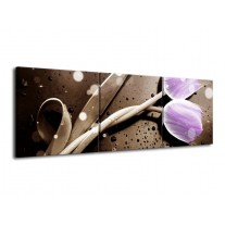 Glas schilderij Tulp | Paars, Grijs | 120x40cm 3Luik