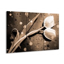 Canvas schilderij Tulp | Grijs, Wit | 90x60cm 3Luik