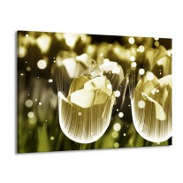 Glas schilderij Tulp | Geel, Zwart | 100x70cm 1Luik