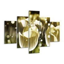 Glas schilderij Tulp | Geel, Zwart | 100x70cm 5Luik