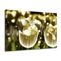 Glas schilderij Tulp | Geel, Zwart | 70x50cm 1Luik