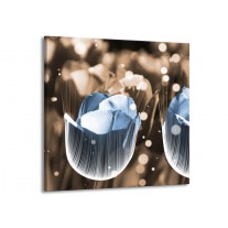 Glas schilderij Tulp | Blauw, Grijs | 70x70cm 1Luik